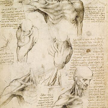 Anatomie du pied de Leonardo da Vinci en poster, tableau sur toile