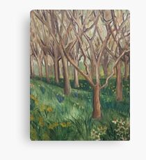 The Onset Of Spring In The Wild Garden Canvas Print