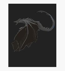 Dragon Soul Photographic Print
