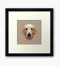 The Golden Retriever Framed Print