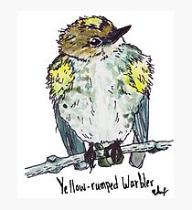 Yellow-rumped Warbler Photographic Print