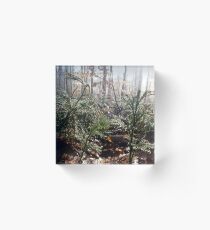 Undergrowth Acrylic Block