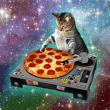 House Music Dj Sticker by the pizzacat for iOS & Android