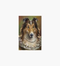 Collie, das Gericht Liebling Lady Dog Galeriedruck