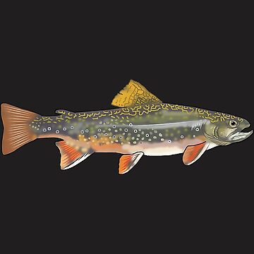 Speckled Brook Trout Fish Graphic Freshwater Fishing Gift  Art