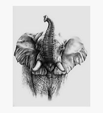 Elephant. Photographic Print