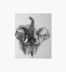 Elephant. Art Board
