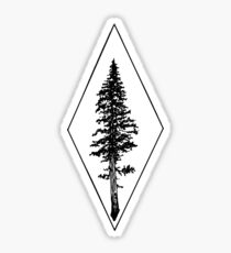 Ponderosa Tree Sticker