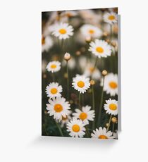 Flower 1 Greeting Card