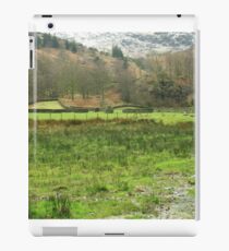 GRASMERE FIELDS iPad Case/Skin