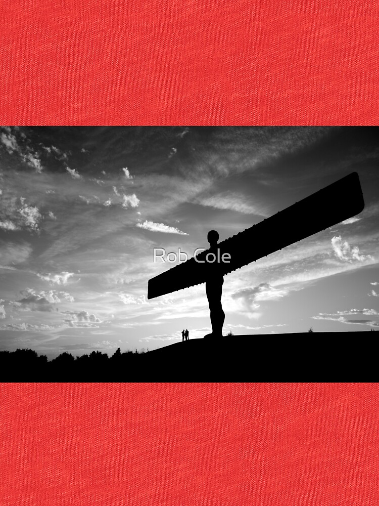 Angel Of The North, Newcastle-Gateshead by robcole