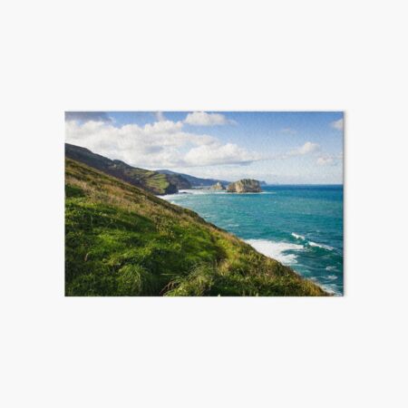 Basque Country coast landscape Art Board Print