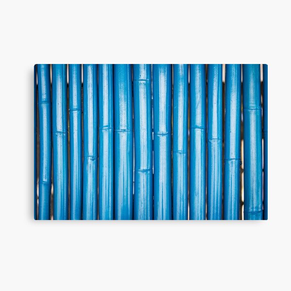 Blue bamboo canes background Canvas Print