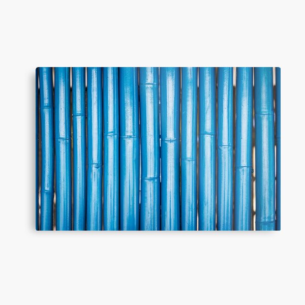 Blue bamboo canes background Metal Print