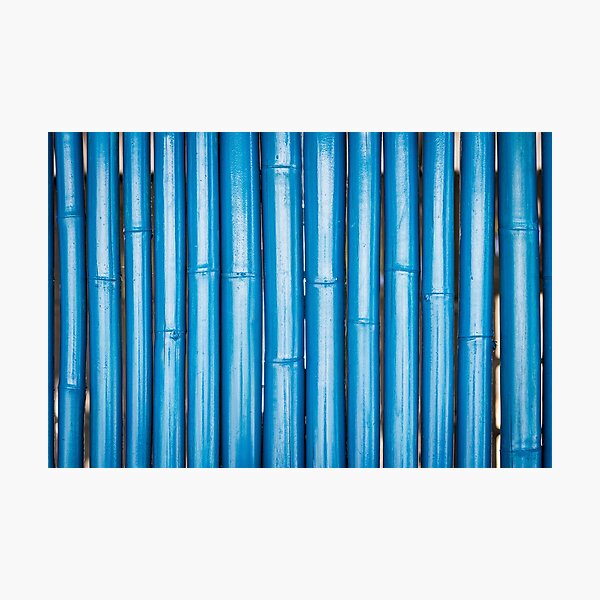 Blue bamboo canes background Photographic Print