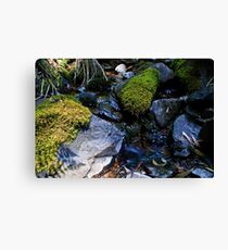 Small Creek Canvas Print
