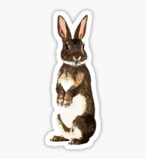 Bunny Sticker