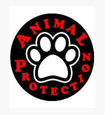 animal protection coat Photographic Print
