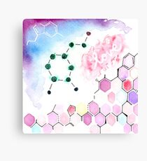 Science Geek Love Canvas Print