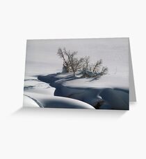Winter Scene Greeting Card