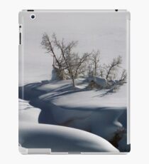 Winter Scene iPad Case/Skin