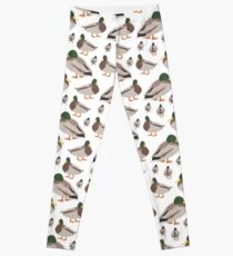 ducks / ducks Leggings