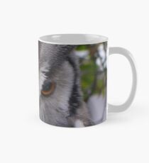Owl Eyes Mug