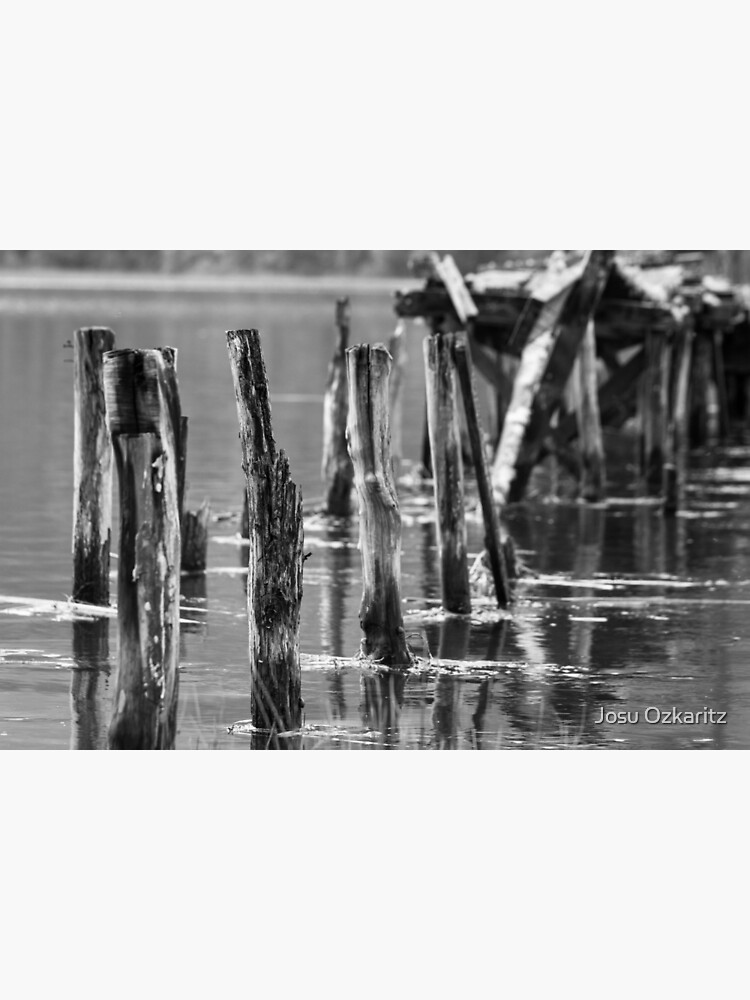 Broken jetty poles by Joshollywood