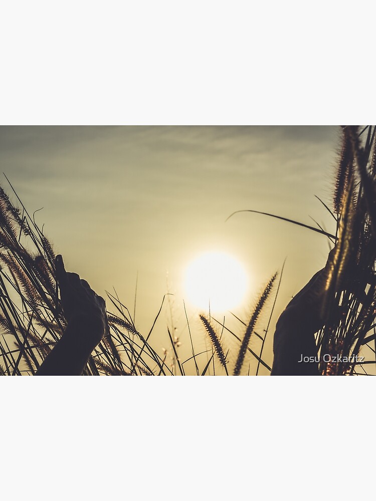 Let me see the sun by Joshollywood