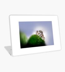Jumping Spider Macro Laptop Skin