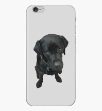 Black Labrador iPhone Case