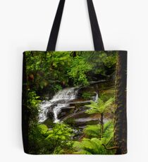 Looking through Nature's Frame Tote Bag