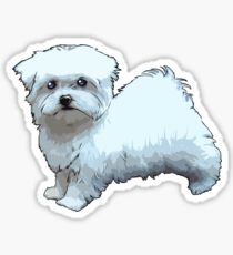 Comic Maltese Dog Sticker