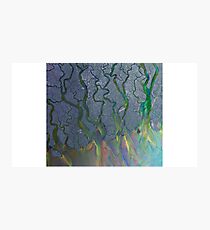 Alt J Photographic Print