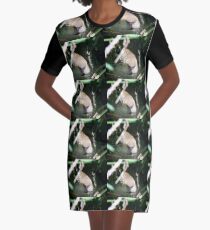 Spying Squirrel Graphic T-Shirt Dress