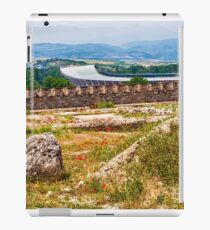 Stadium Landscape iPad Case/Skin