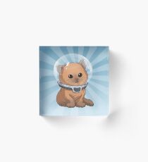 Keep Calm Kitty Acrylic Block
