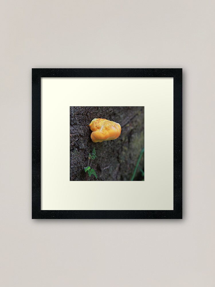 Alternate view of Fungus Framed Art Print