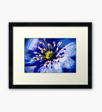 Genesis Framed Print