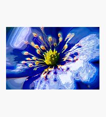 Genesis Photographic Print