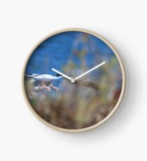 Diving! Clock