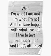 Never Wanted Nothing More Poster by Kenny Chesney Poster