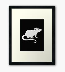 White rat Framed Print