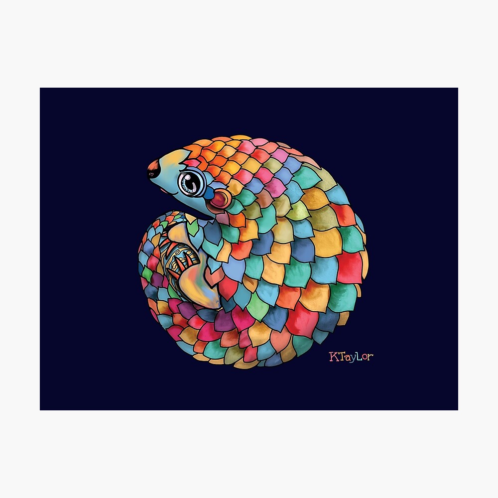Rainbow Pangolin Photographic Print
