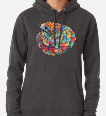 Rainbow Pangolin Pullover Hoodie