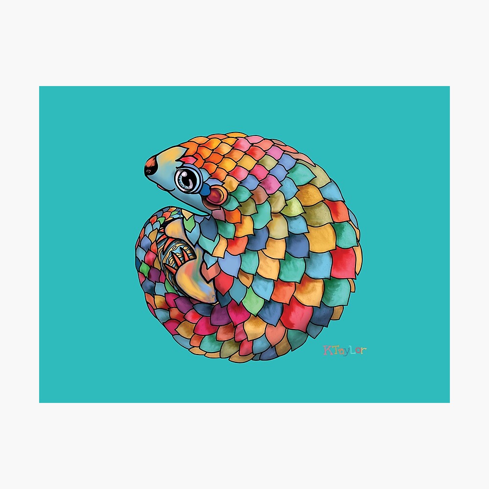Rainbow Pangolin Photographic Print