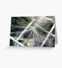 macro Greeting Card