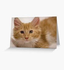 Valletta Greeting Card