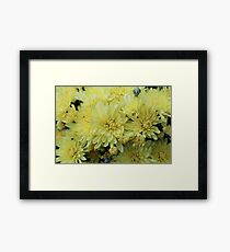 Whitish Yellow Flower Patch Framed Print