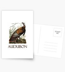 Wild Turkey by John James Audubon Postcards